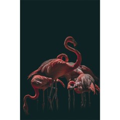 Tableau mural en toile - Flamant rose