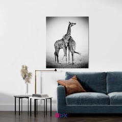 Tableau mural en toile - Giraffe