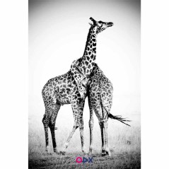 Tableau mural en toile - Giraffe