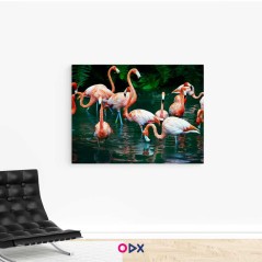 Tableau mural en toile - Flamant rose