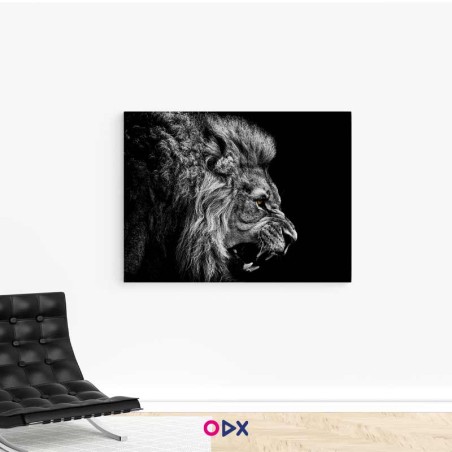 Tableau mural en toile - Lion