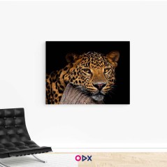 Tableau mural en toile - Jaguar