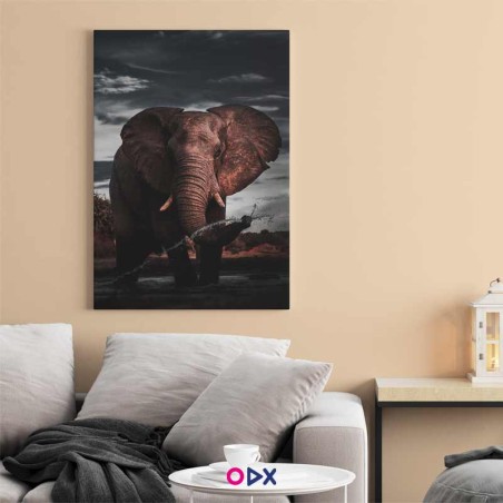 Tableau mural en toile - Elefant Africain