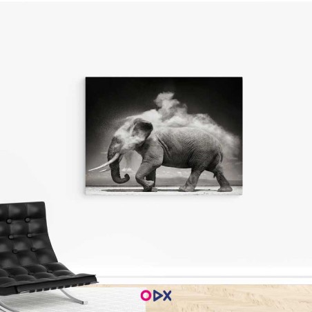 Tableau mural en toile - Elefant En Mouvement