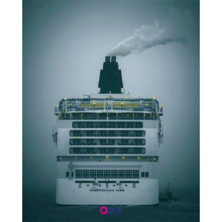 Tableau mural en toile - Norwegian Jade