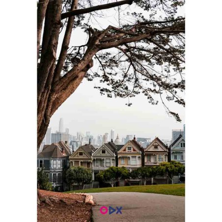 Tableau mural en toile - Painted Ladies, San Francisco