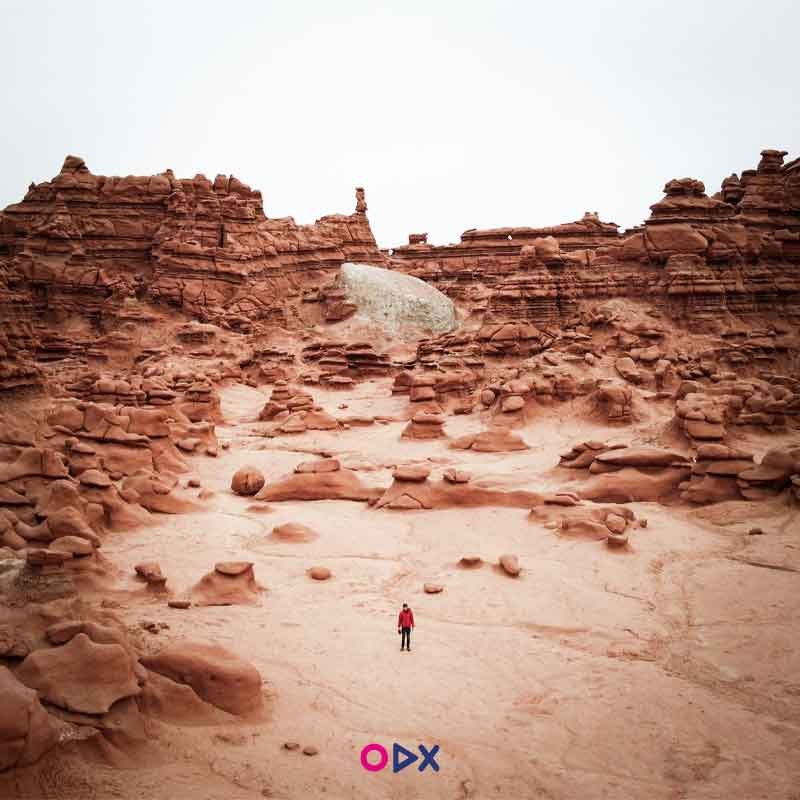 image-ordex