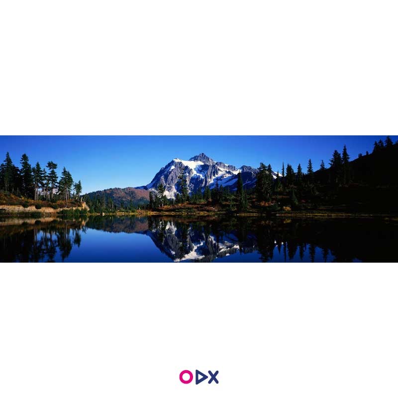 image-ordex