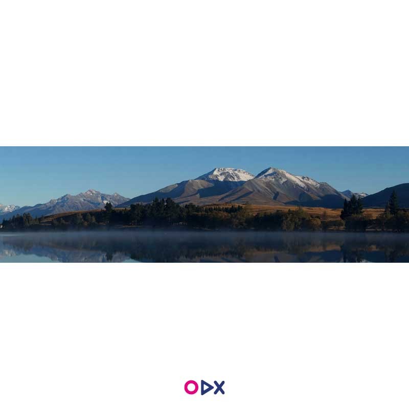 image-ordex