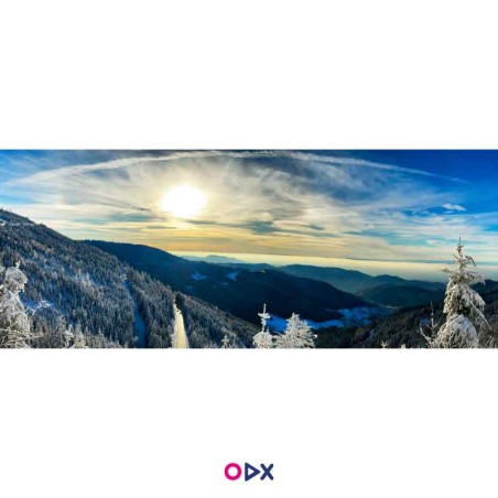 Tableau panoramique en toile - Forêt Blanche