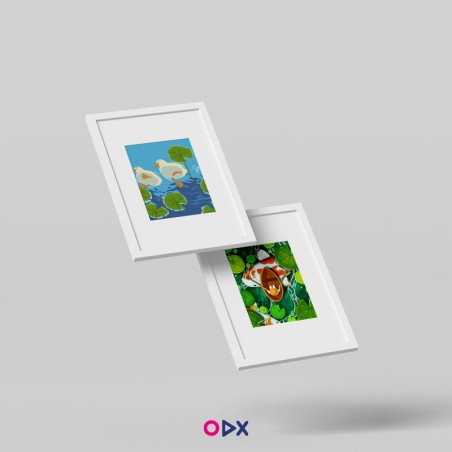 image-ordex