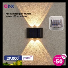 Pack 2 appliques murale solaire LED extérieure