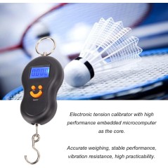 Balance portative électronique professionnelle