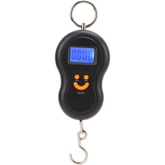 Balance portative électronique professionnelle