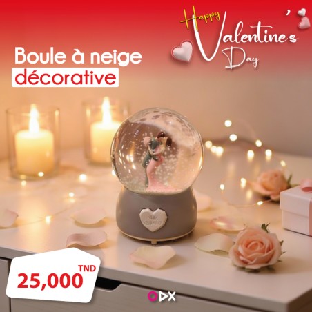 Boule à neige décorative